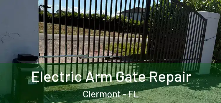 Electric Arm Gate Repair Clermont - FL