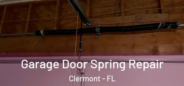  Garage Door Spring Repair Clermont - FL