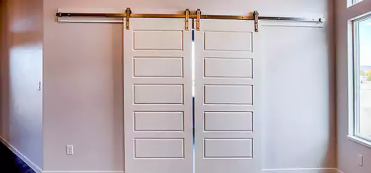 Glass Barn Door with Installation Hardware Kit Clermont
