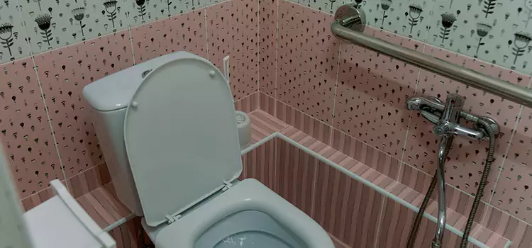 Meeting Diverse Needs With Accessible Restroom Solutions in Clermont, FL